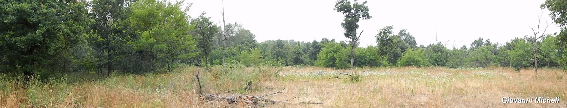 Parco del Ticino 13.6.15